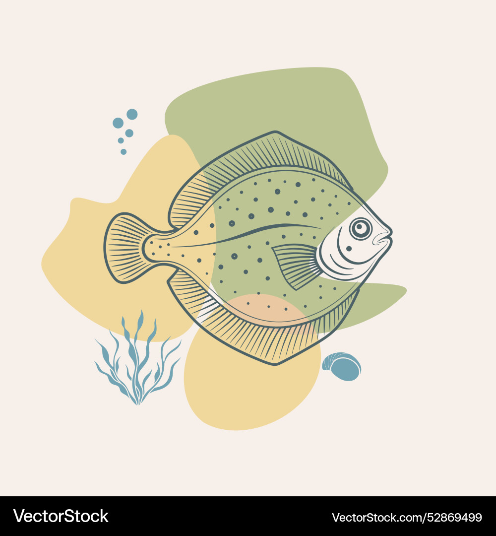 Turbot or flatfish on blobs background seafood Turbot or flatfish on blobs background seafood Vector Image