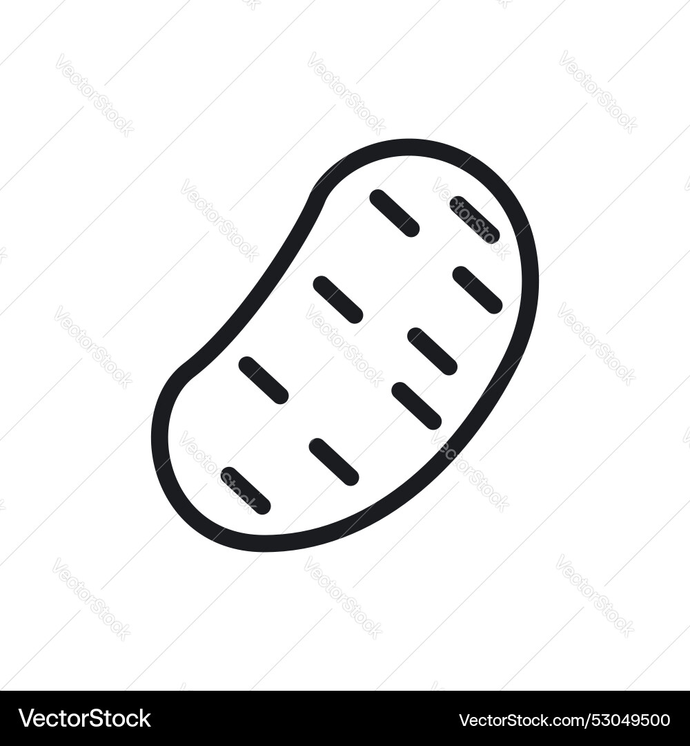 Potato icon isolated on white background Vector Image