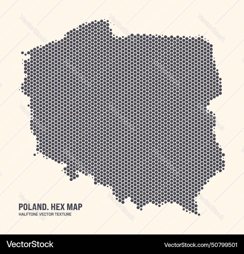 Hexagonal Poland Map Pattern vector image