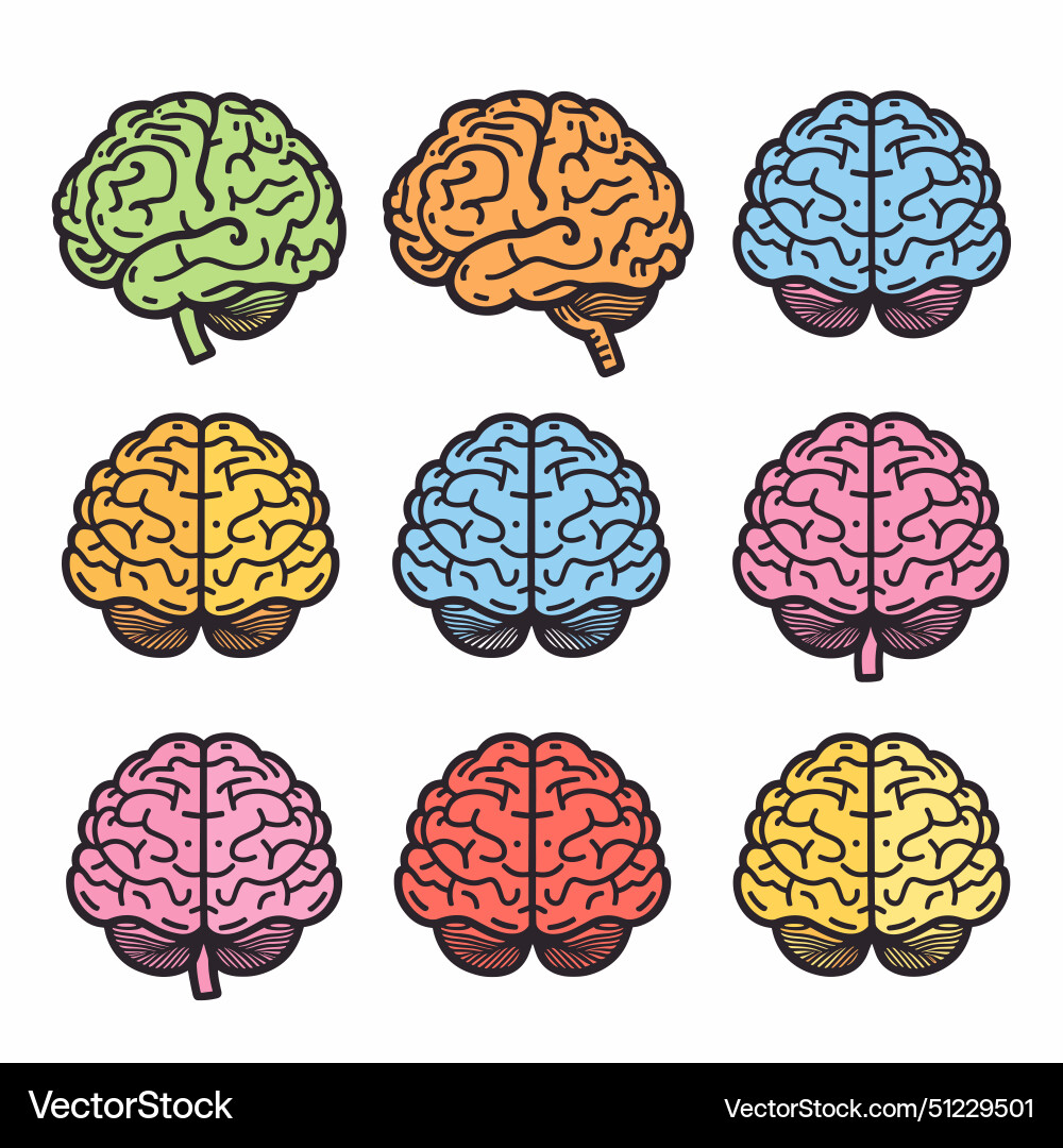 Set colorful brain icons representing different vector image