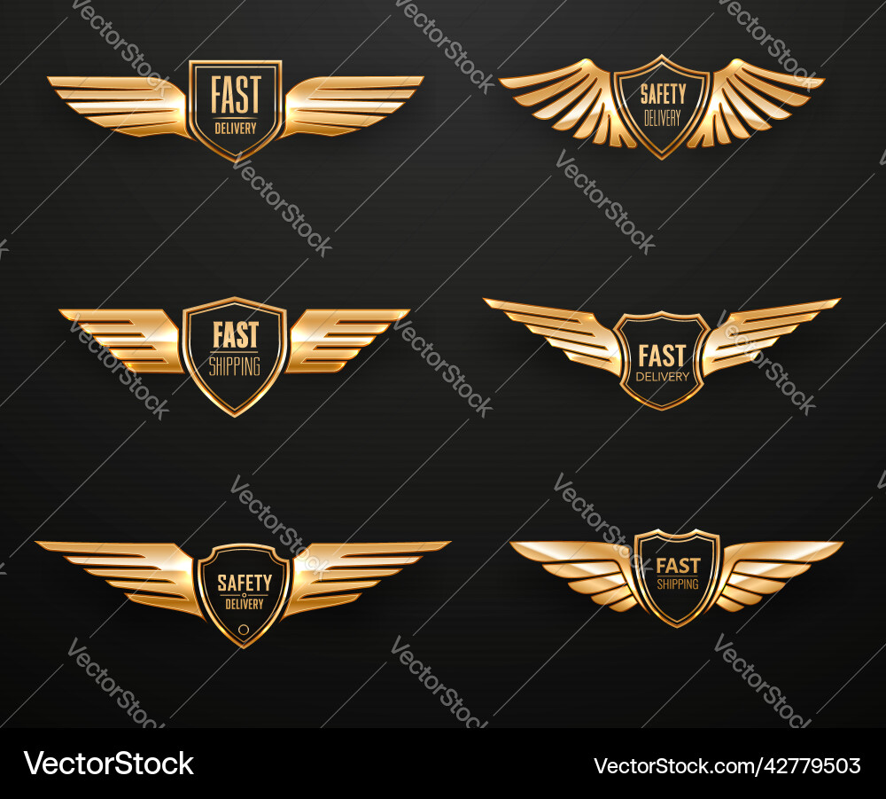 Fast shipping safety delivery golden eagle wings Fast shipping safety delivery golden eagle wings vector image