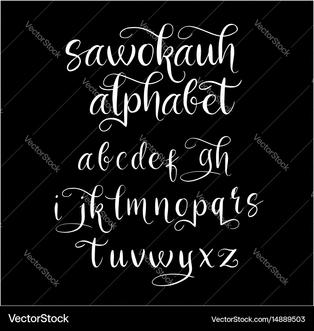 Sawokauh Script Alphabet vector image