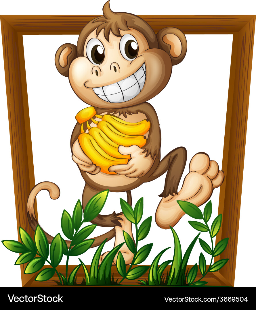 Monkey and banana Vector Image
