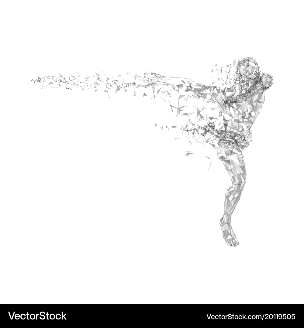 Abstract Running Man Network vector image