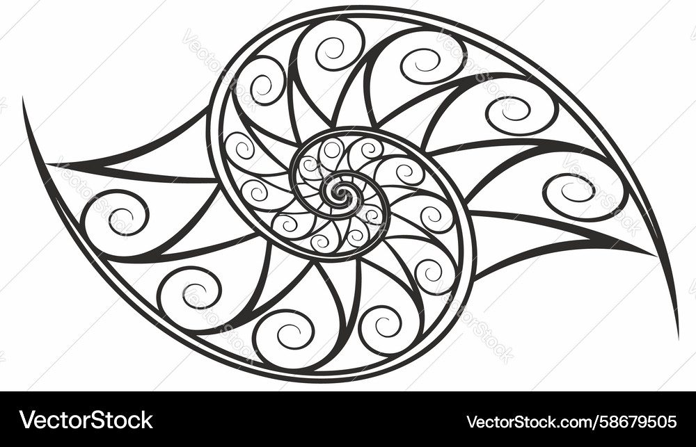 Fibonacci spiral nautilus shell abstract design Vector Image