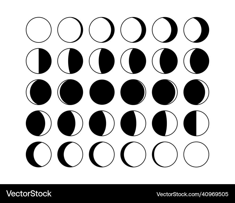 Moon phase half shape lunar cycle vector image