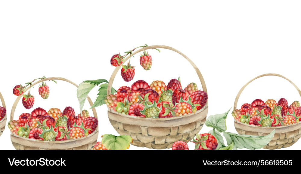 Raspberry with leaves in weaved basket hand drawn Vector Image