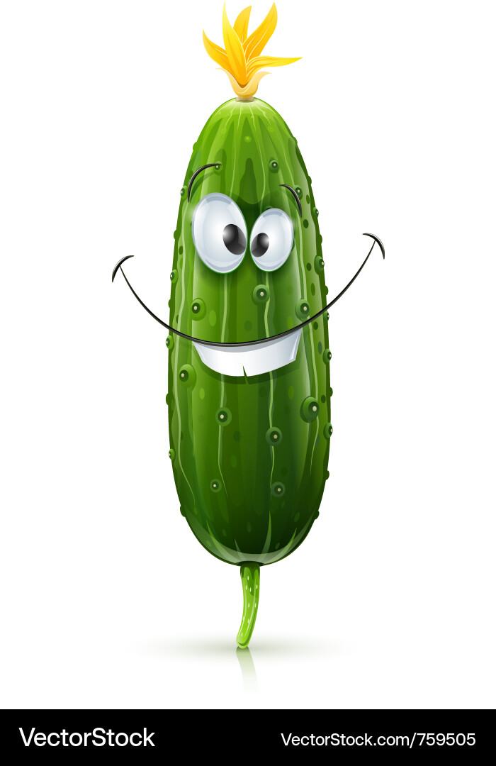 Smiling Cucumber Character vector image