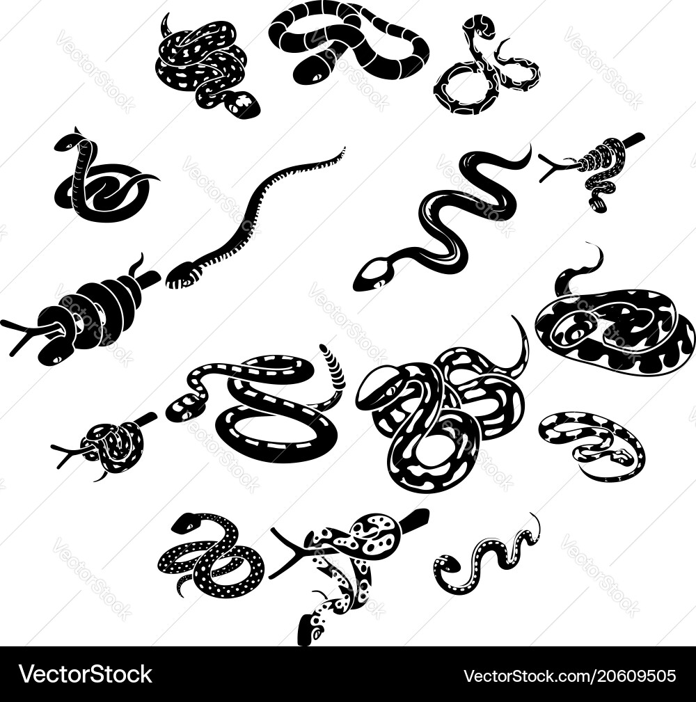 Snake Icon Set - Minimalist Style vector image