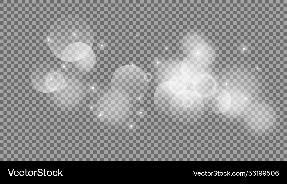 Bokeh circles on transparent background Bokeh circles on transparent background vector image