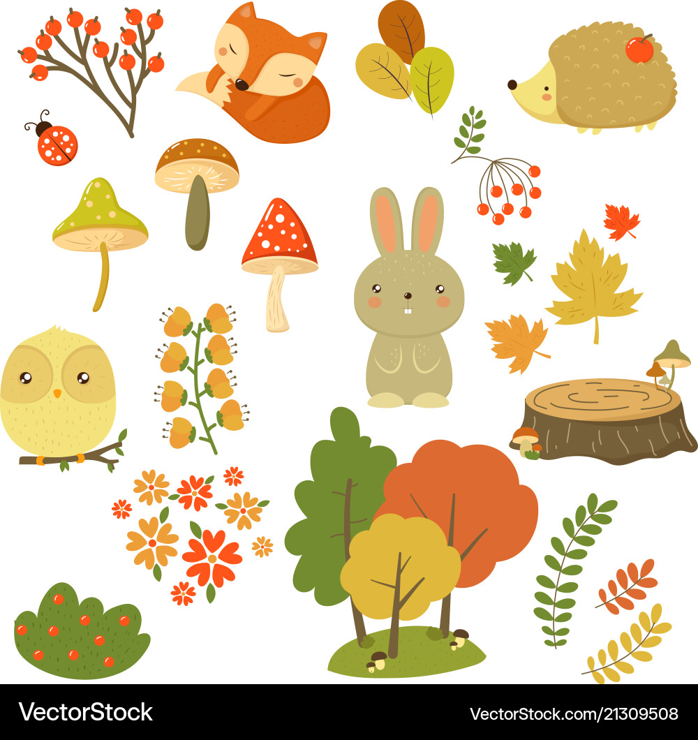 Autumn forest elements set animals leaves Autumn forest elements set animals leaves vector image