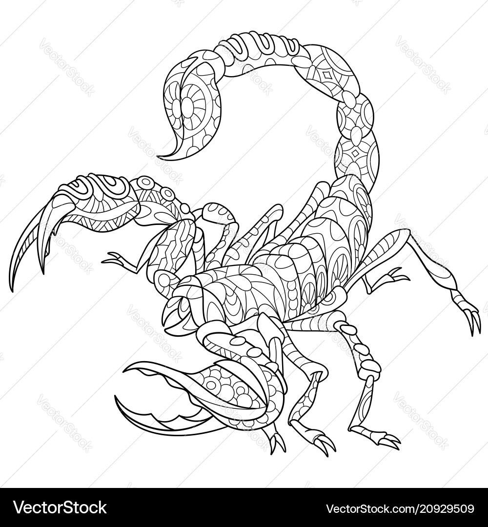 Scorpion Zentangle Coloring Page Vector Image