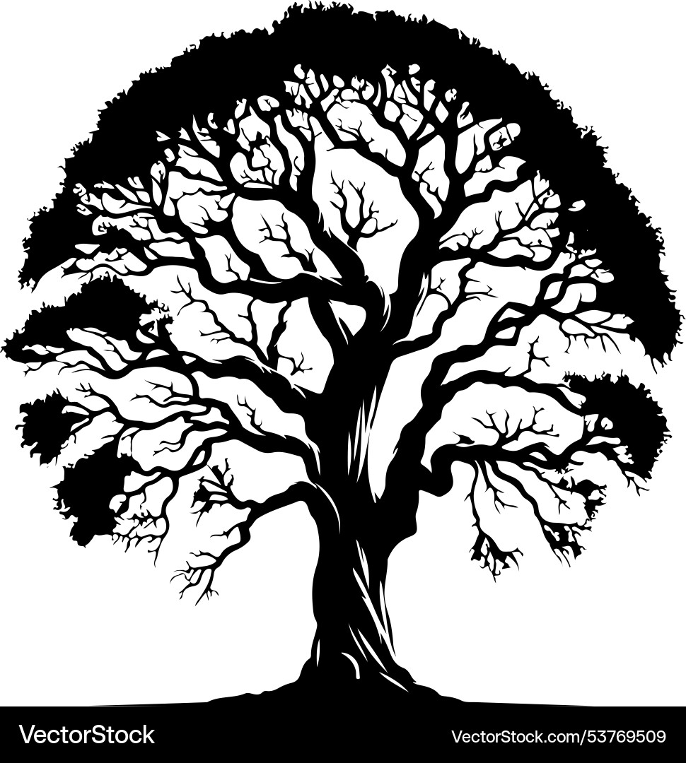 Tree silhouette Royalty Free Vector Image - VectorStock
