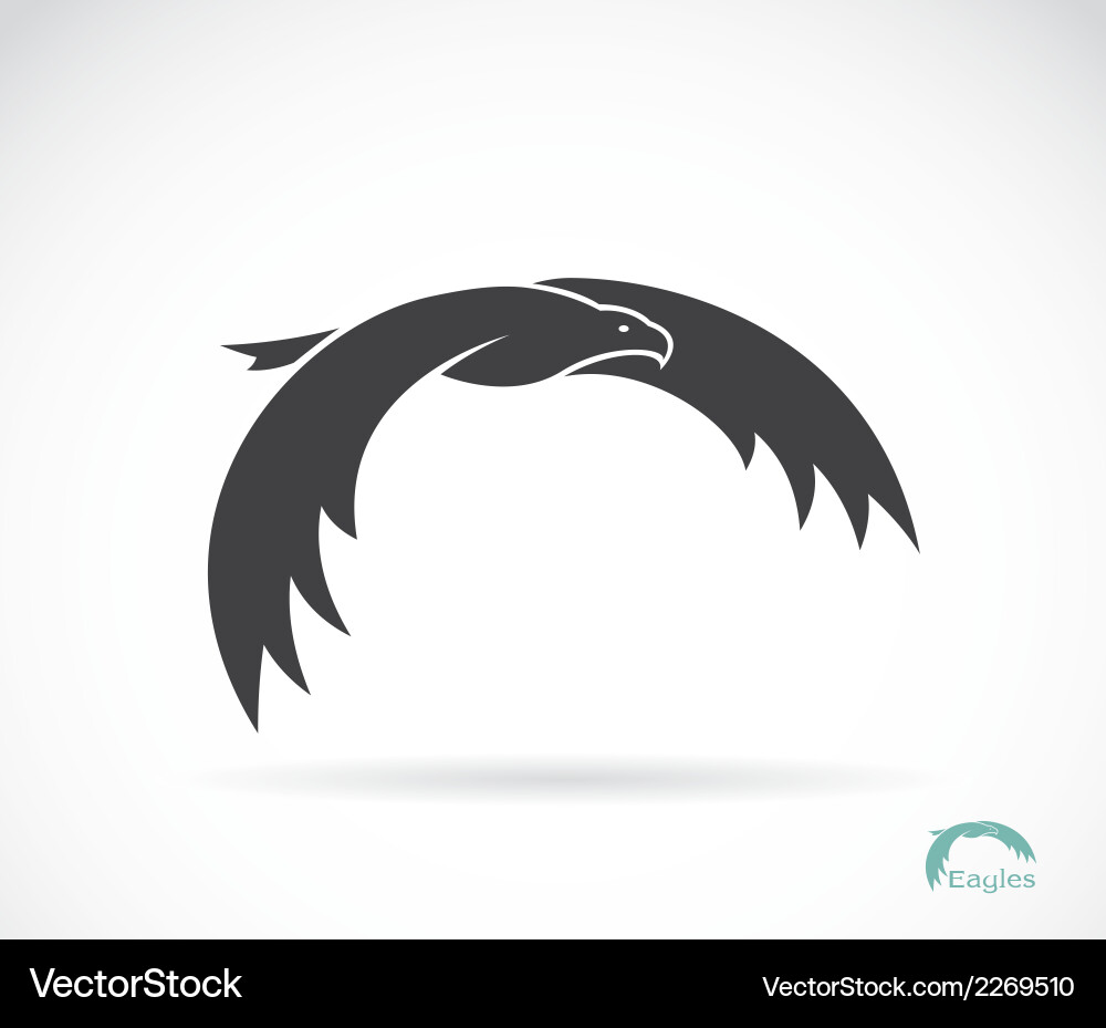 Eagle Icon - White Background Vector Image