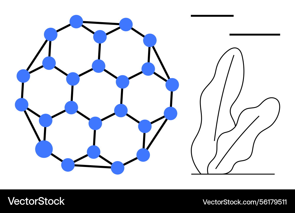 Molecular network with geometric structure Molecular network with geometric structure vector image