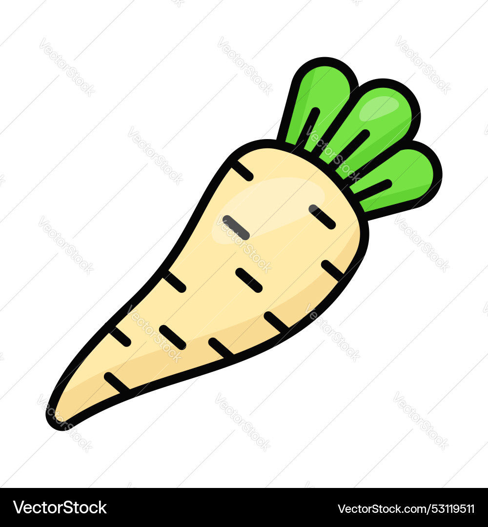Parsnip Vector Image