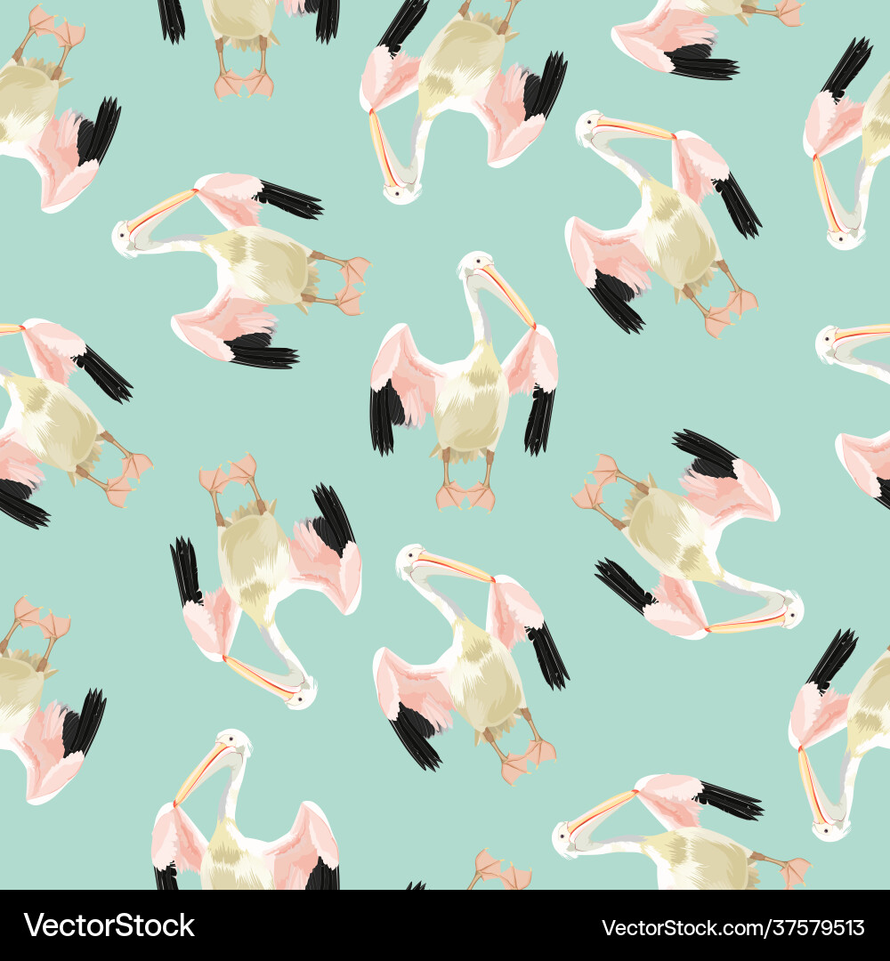 Seamless pattern with pelican vector image