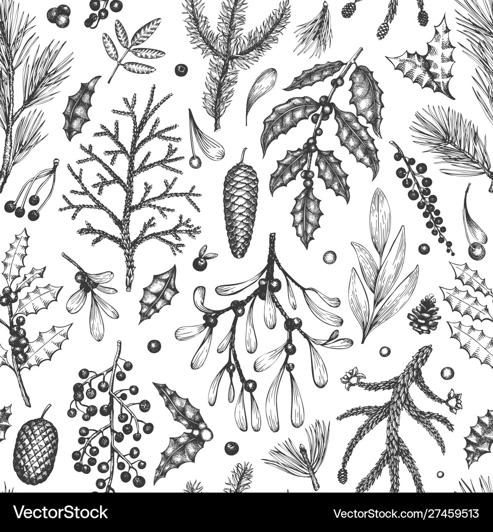 Winter Botanical Seamless Pattern Royalty Free Vector Image