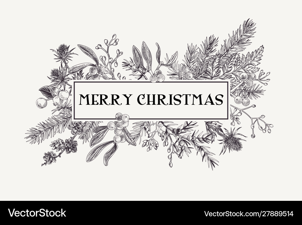 Christmas frame vector image