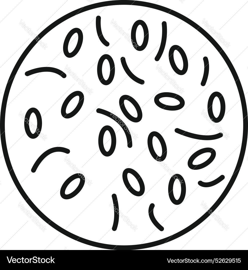 Microscopic view of bacteria showing different Microscopic view of bacteria showing different vector image