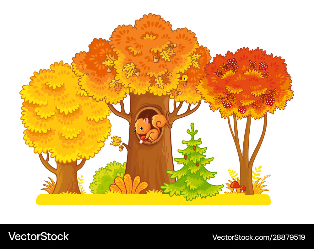Autumn Trees with Squirrel Vector Image