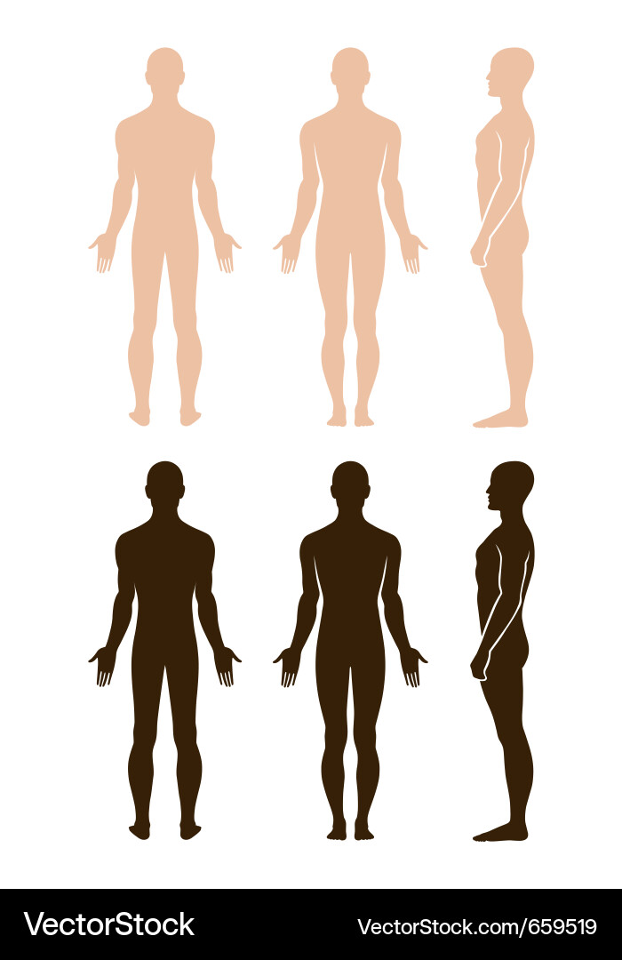 Naked Man Profile Pose Vector Image