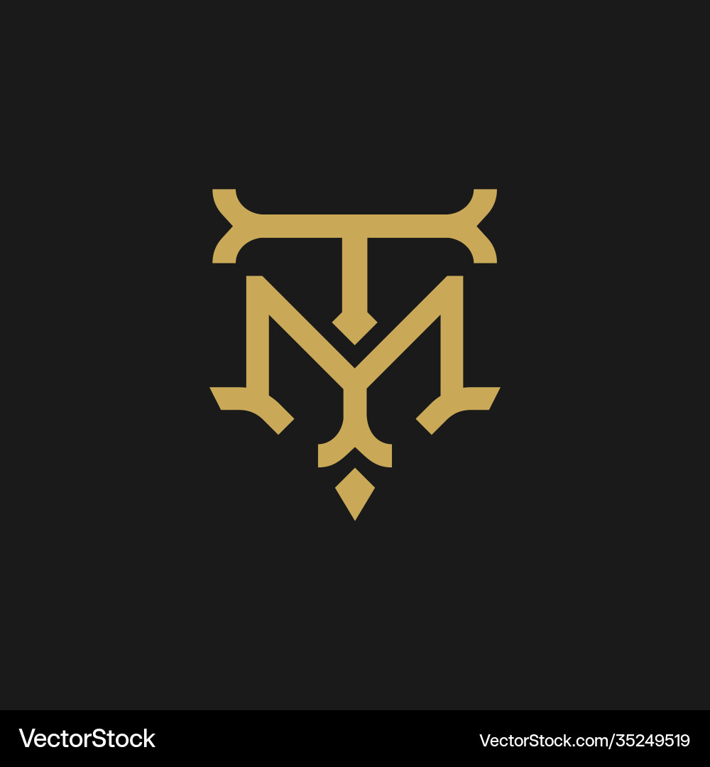TM Initial Monogram Logo vector image