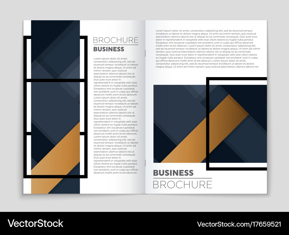 Abstract layout background set for art Vector Image