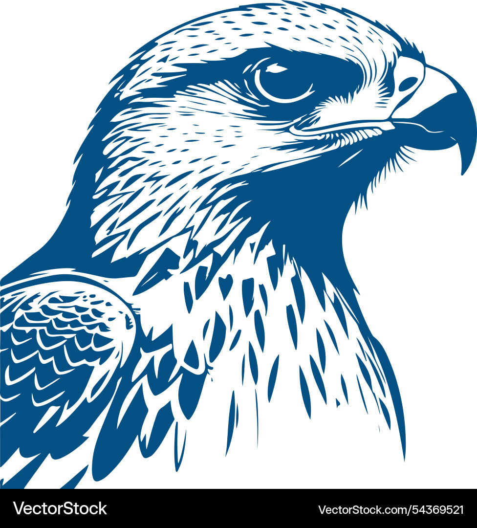 Majestic falcon art Royalty Free Vector Image - VectorStock