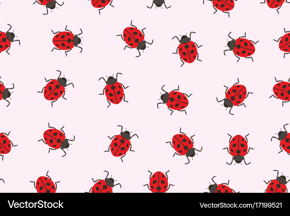 Seamless pattern ladybug vector image