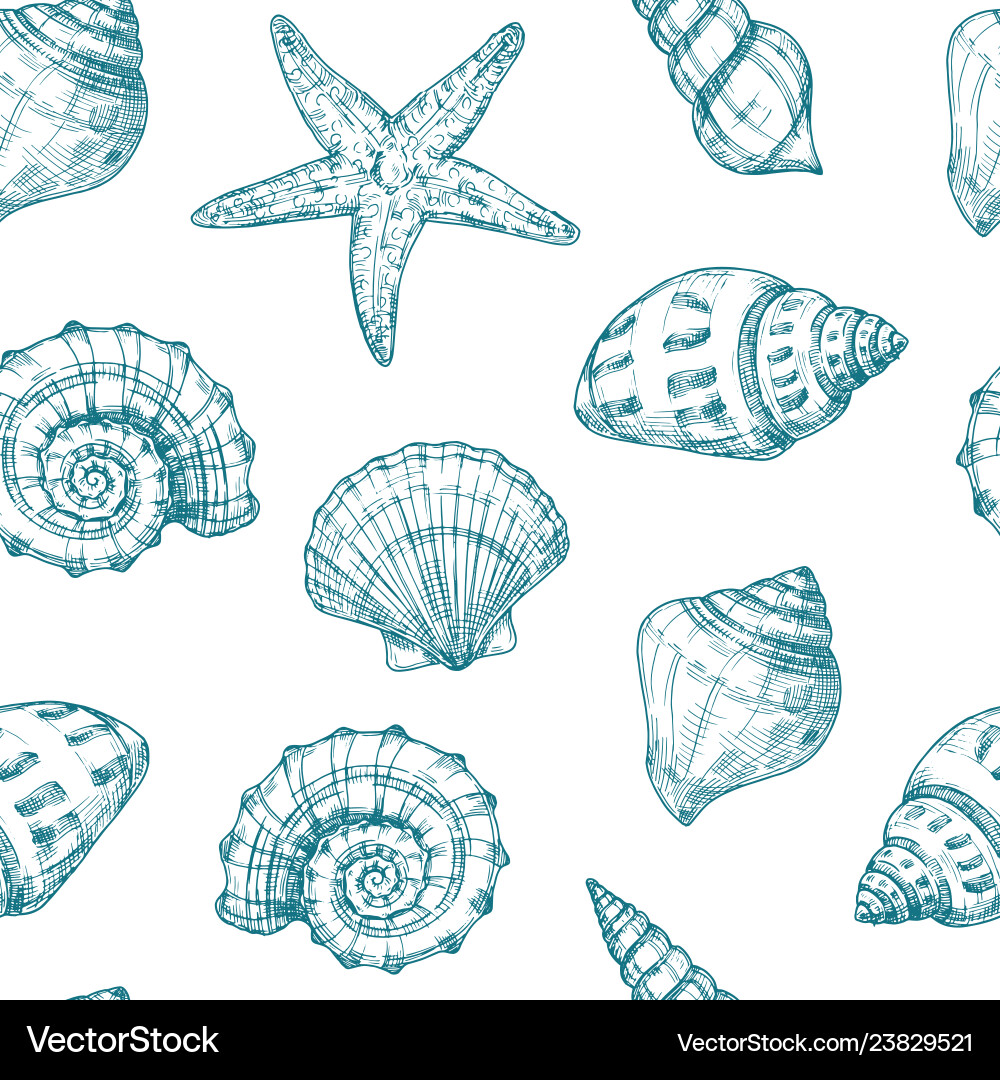 Seashells seamless pattern sea shell summer ocean Vector Image