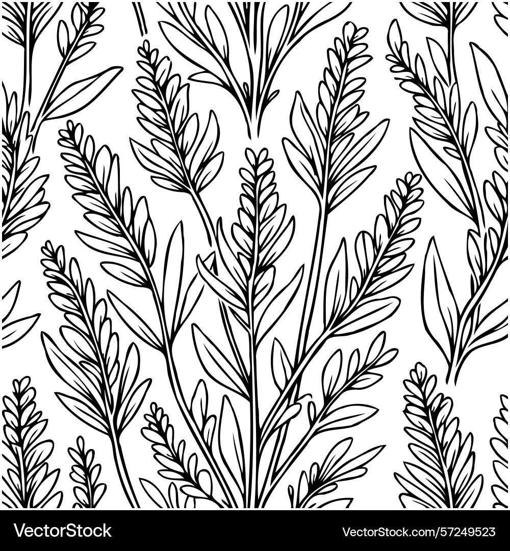 Delicate botanical seamless pattern showcasing Vector Image