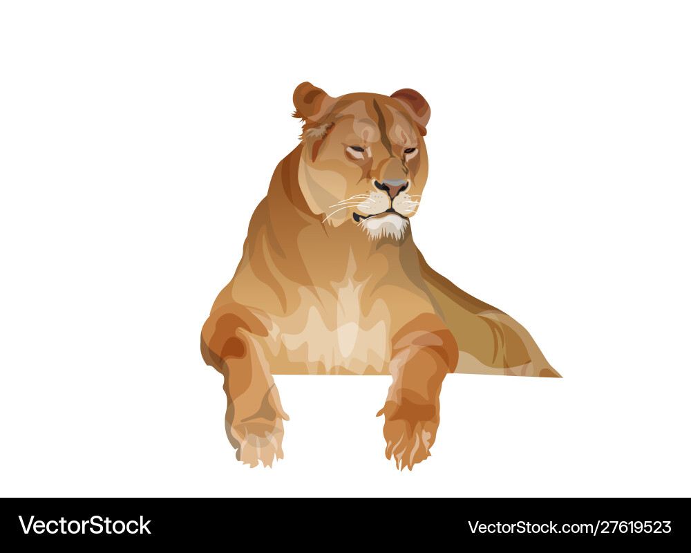 Lioness resting image in realistic style Lioness resting image in realistic style vector image