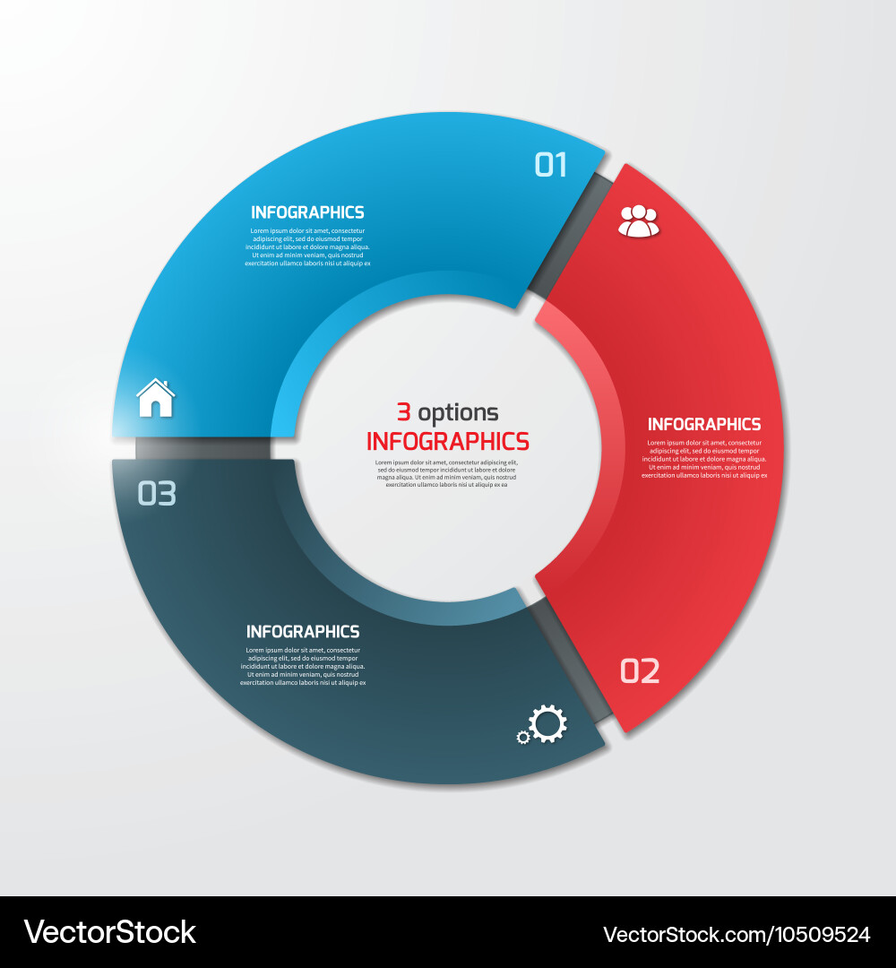 Pie chart infographic template 3 options vector image