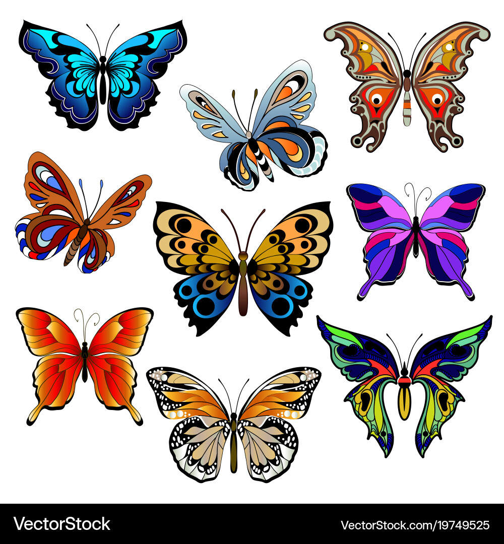 Multicolored butterflies set Royalty Free Vector Image