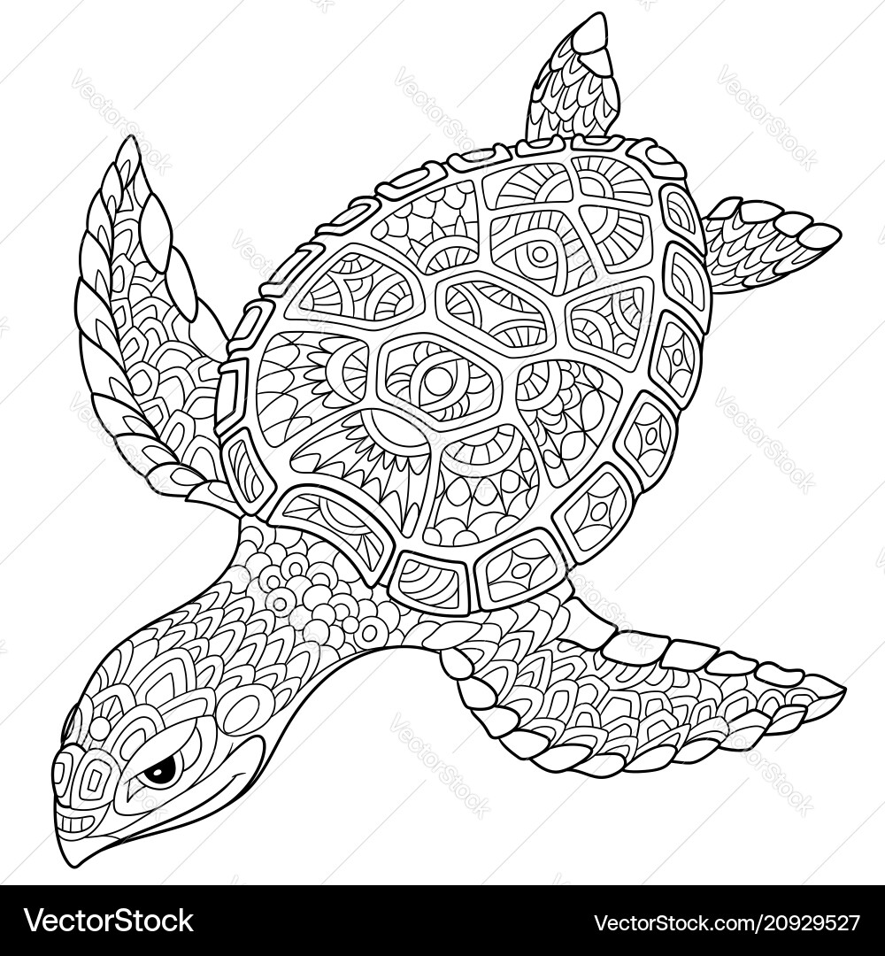 Turtle coloring page vector image