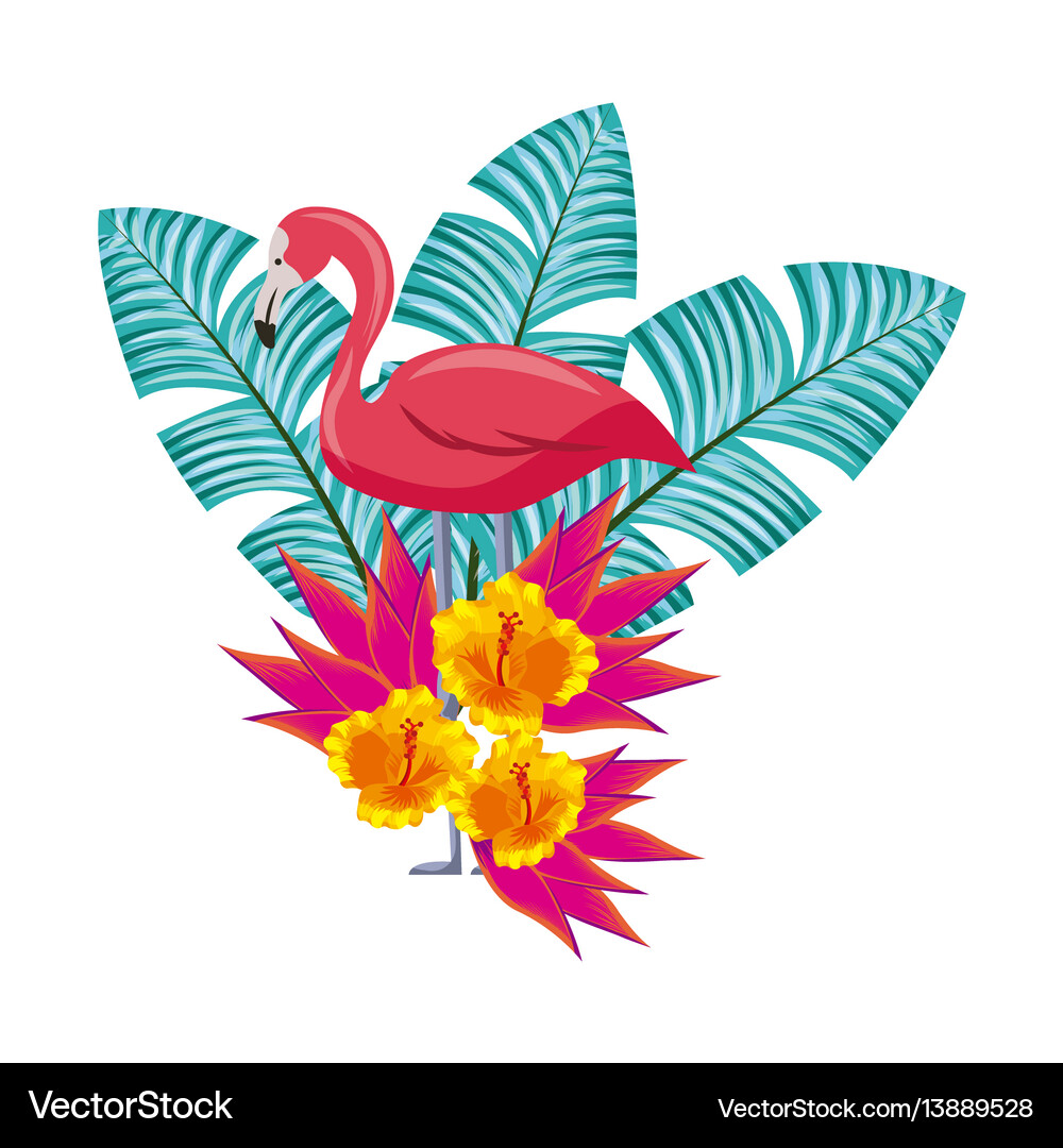 Hibiscus flowers on tropical leaf 19051619 PNG, image size:1000x1080