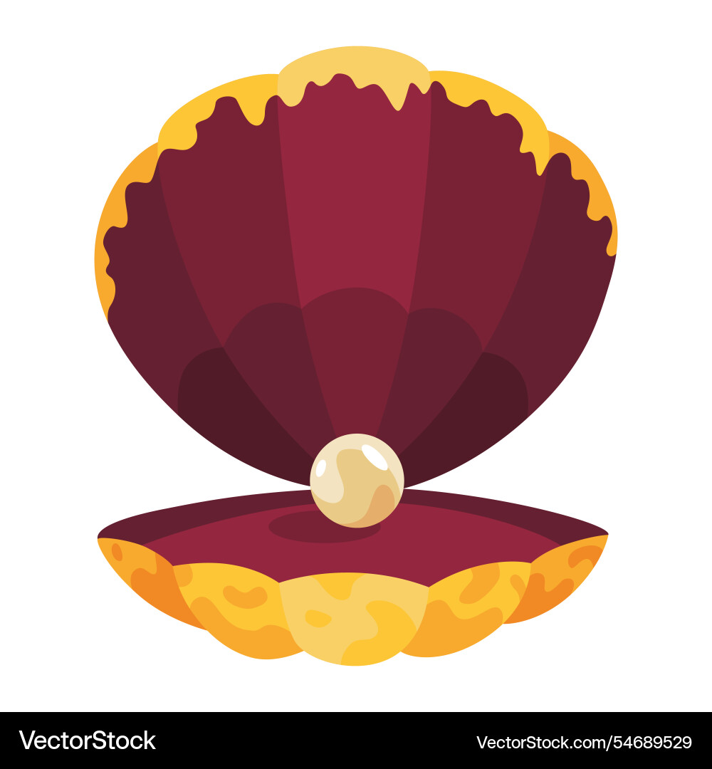 Pearl in seashell open scallop Vector Image