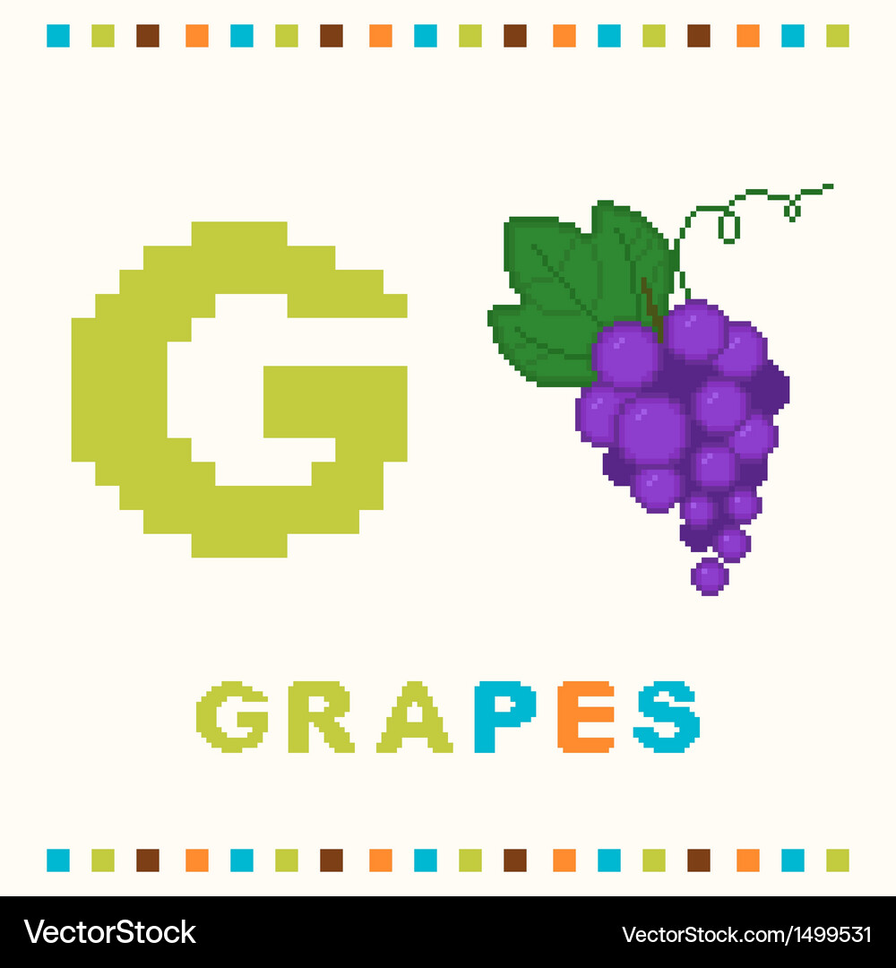 Alphabet for children letter g and grapes Vector Image