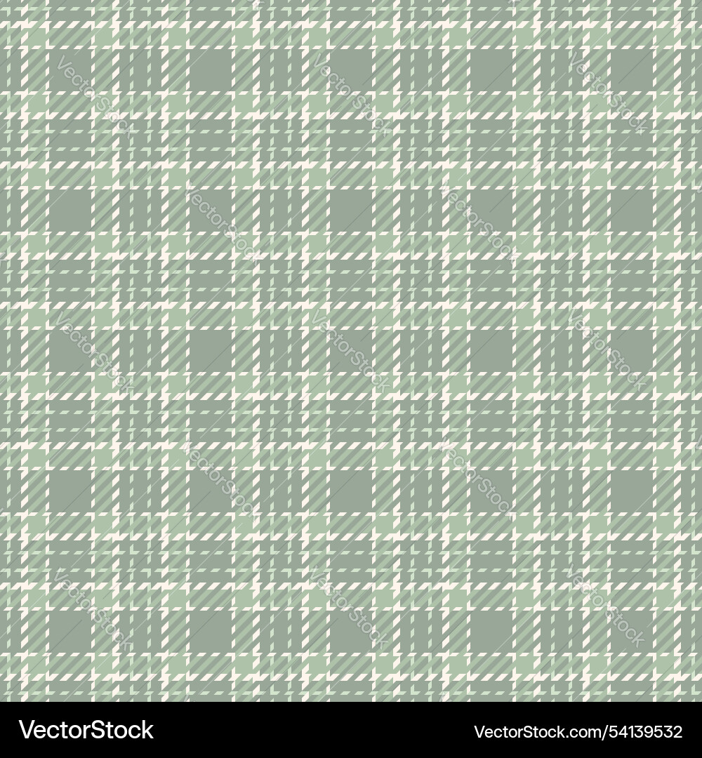 Present pattern seamless check structure fabric Vector Image