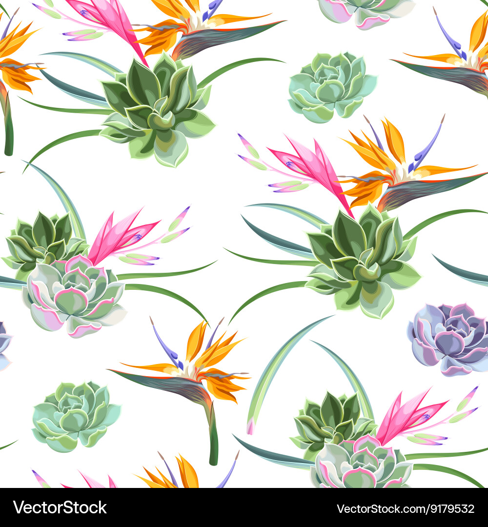 Tropical Flowers & Succulents Pattern Vector Image