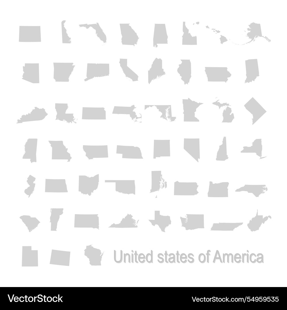 United states of america 50 and 1 federal United states of america 50 and 1 federal Vector Image