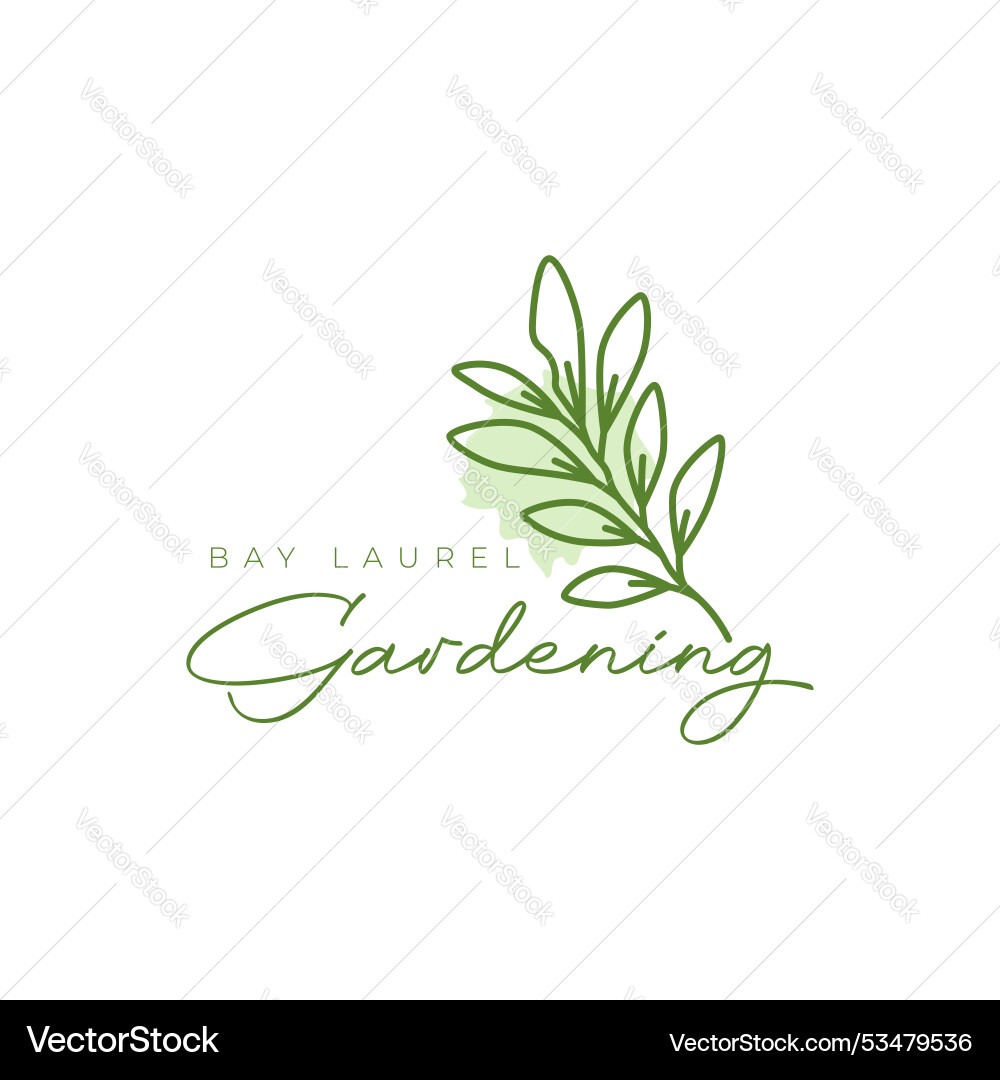 Bay Lorbeer Pflanze Blätter einfache Form Linie Stil Bay Lorbeer Pflanze Blätter einfache Form Linie Stil vektorbild