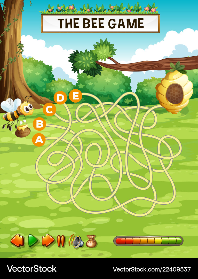 Bee finding honeycomb game vector image