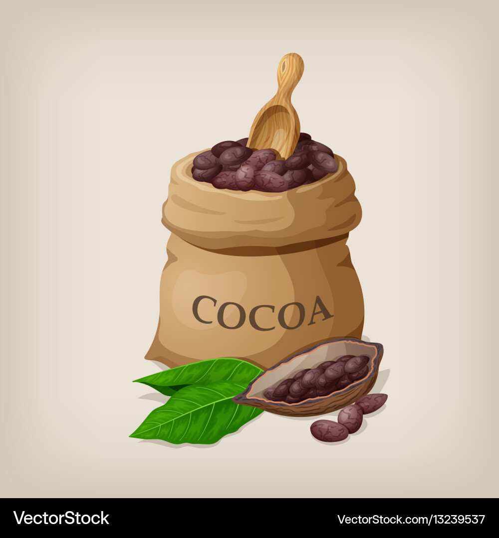 Cocoa Beans in a Bag - Close Up Vector Image
