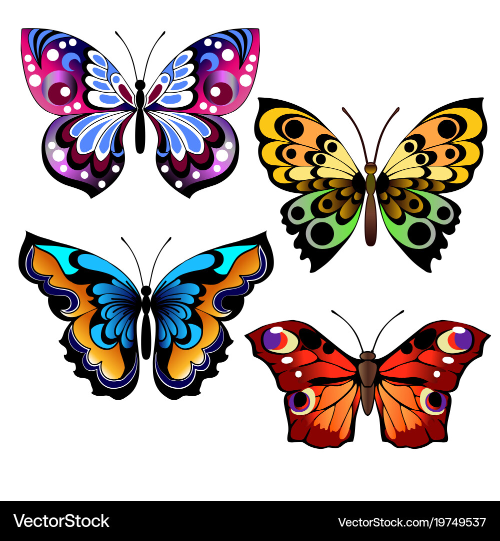 Colorful Butterfly Set vector image