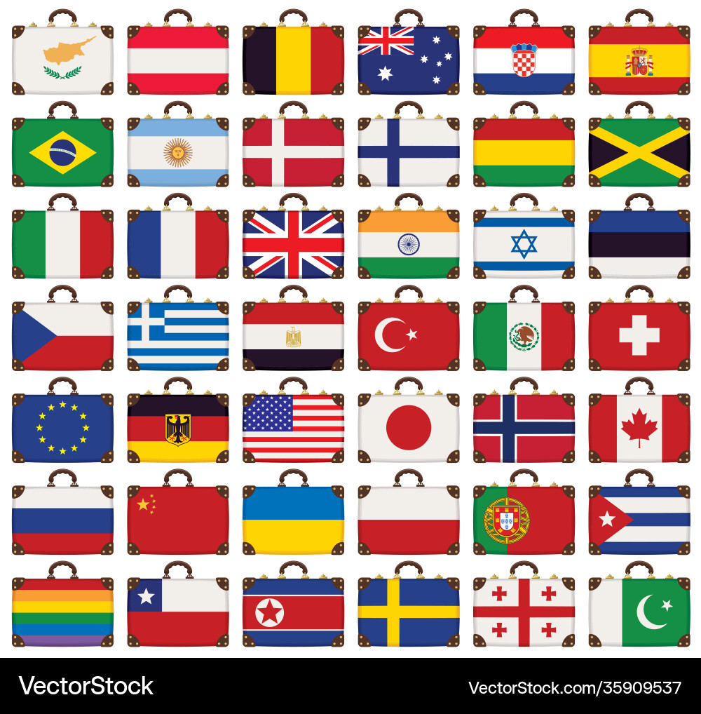 Suitcases with National Flags vector image
