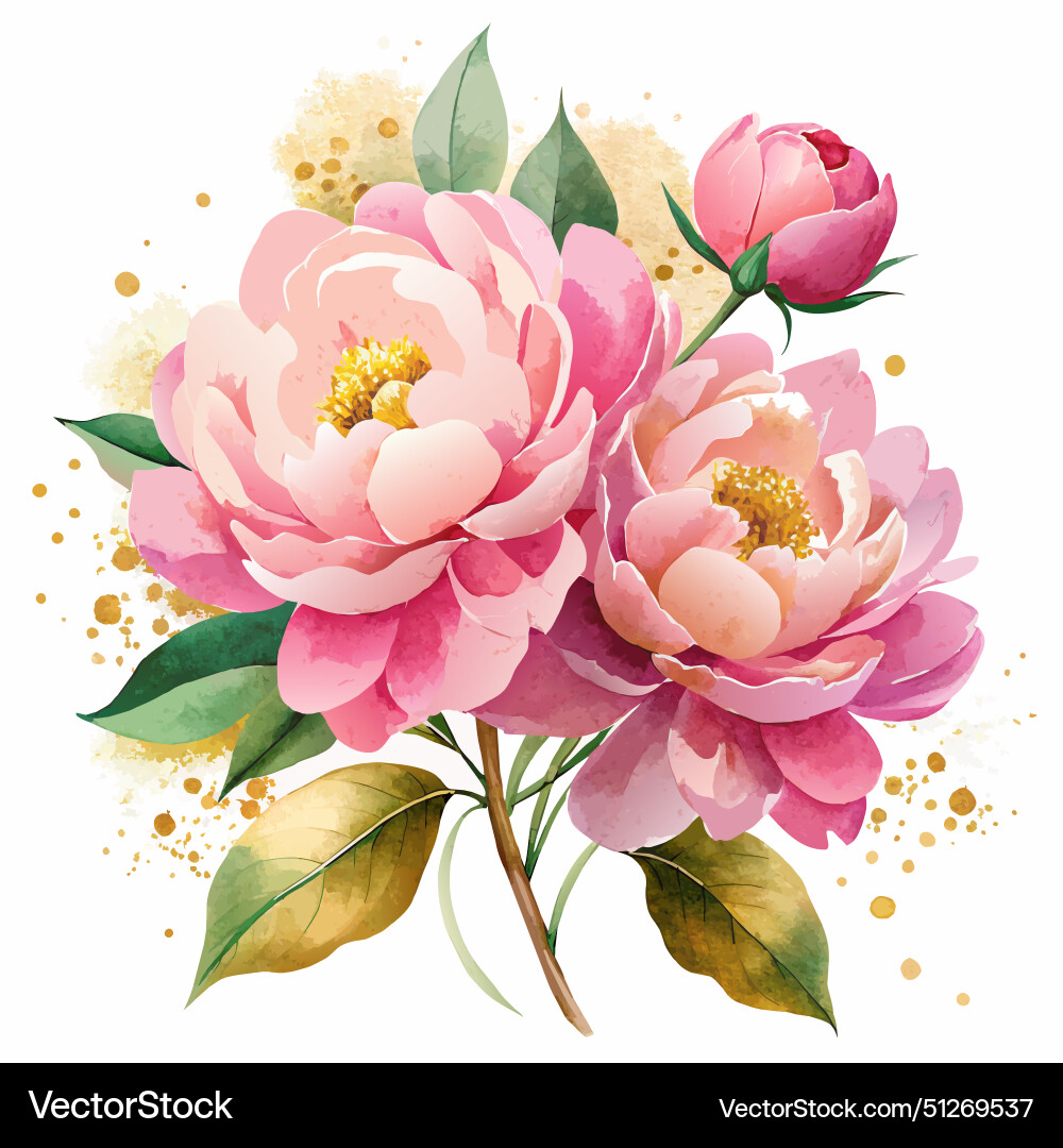 Watercolor Peony Bouquet Vector Image