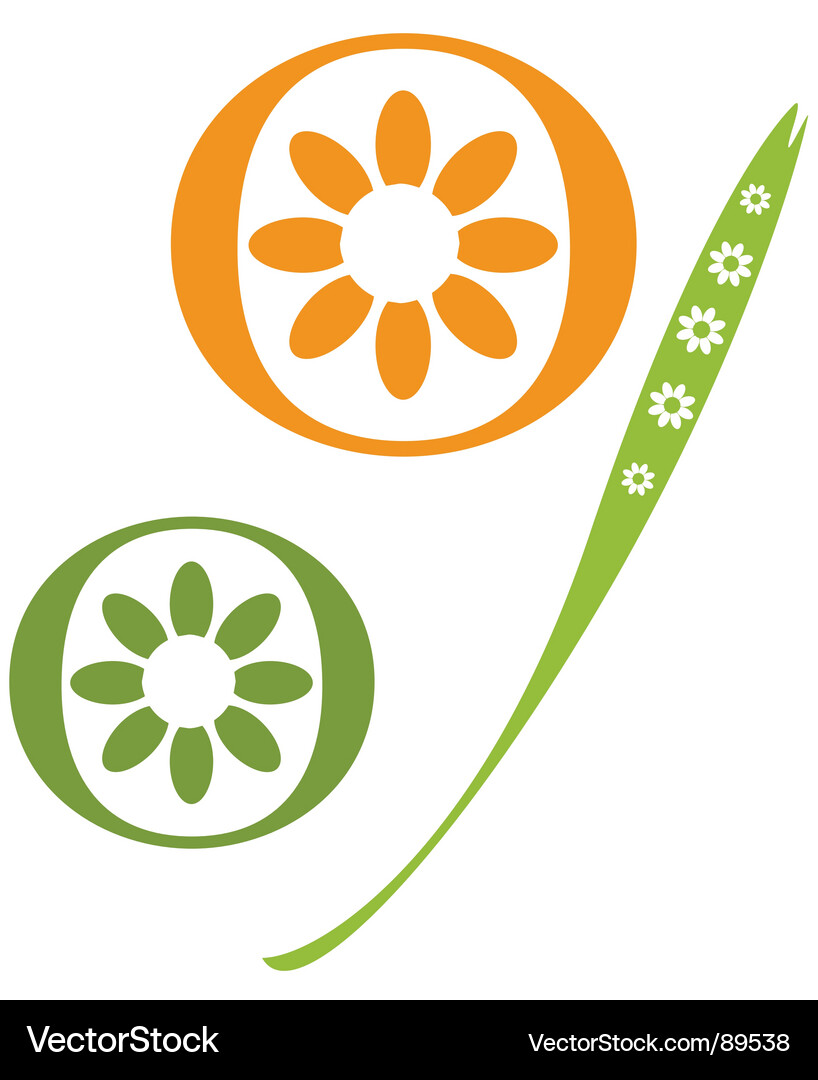 Chamomiles Vector Image