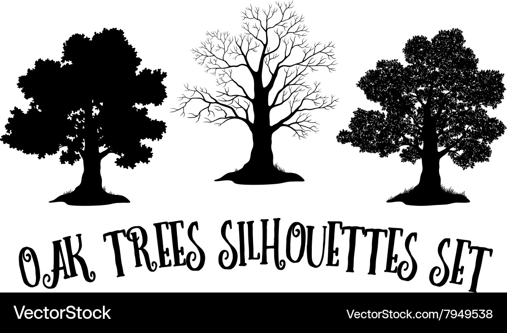 Oak Tree Silhouettes - Black & White Vector Image